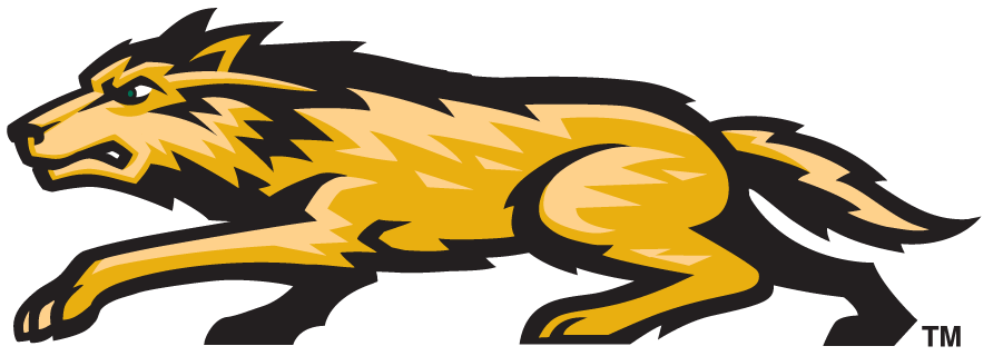 Wright State Raiders 1997-2013 Secondary Logo v2 diy iron on heat transfer